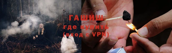 прущие грибы Богородицк
