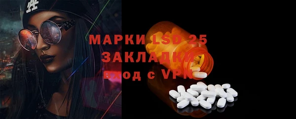 прущие грибы Богородицк