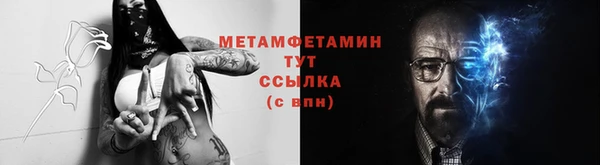 прущие грибы Богородицк