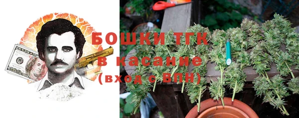 прущие грибы Богородицк