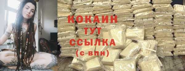 PSILOCYBIN Ельня