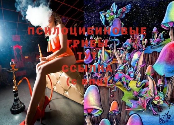 mix Богородск