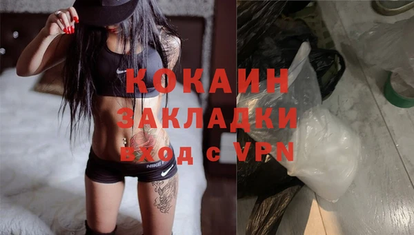 прущие грибы Богородицк